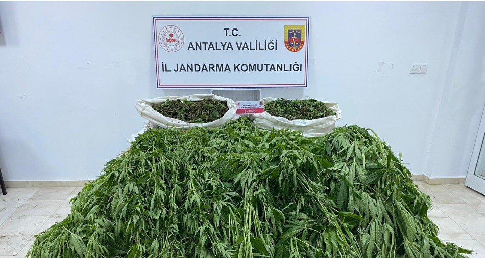 Serik’te uyuşturucu operasyonu