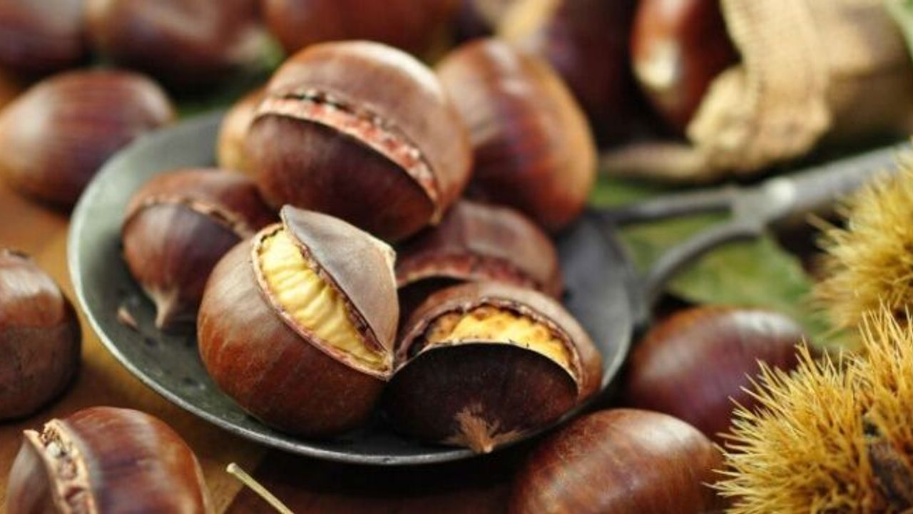 Kestanenin bilinmeyen faydası ortaya çıktı! O hastalığı önlüyor