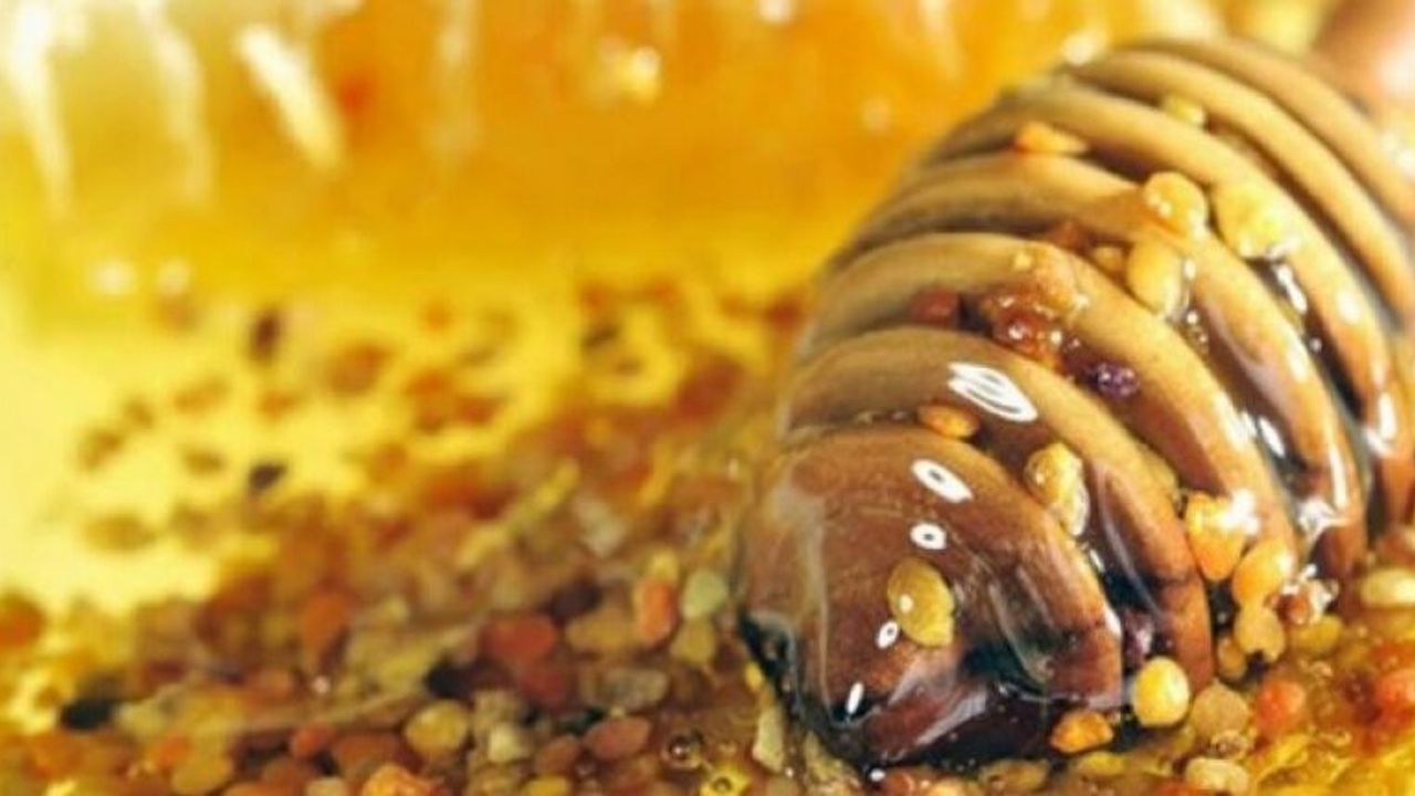 Sedef hastalığı ve egzamaya iyi geliyor