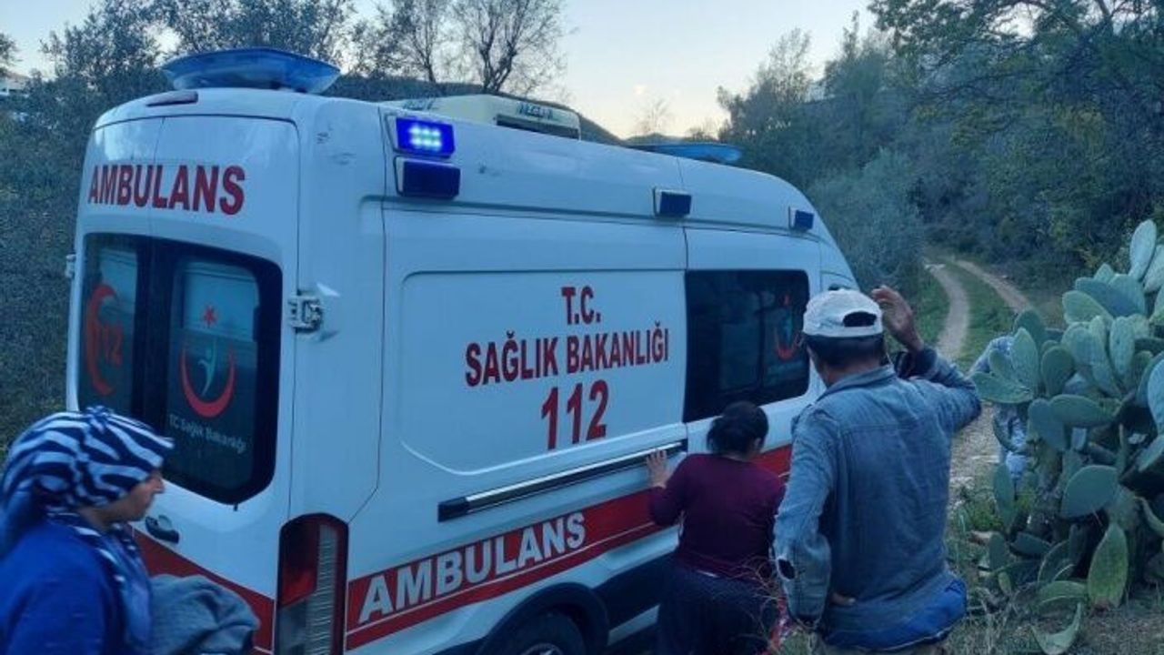 Badem ağacından düşen adam ağır yaralandı!