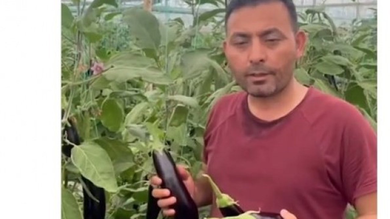 Alanya'da halcinin 'Çöplük' ifadesine Ziraat Odası'ndan jet yanıt