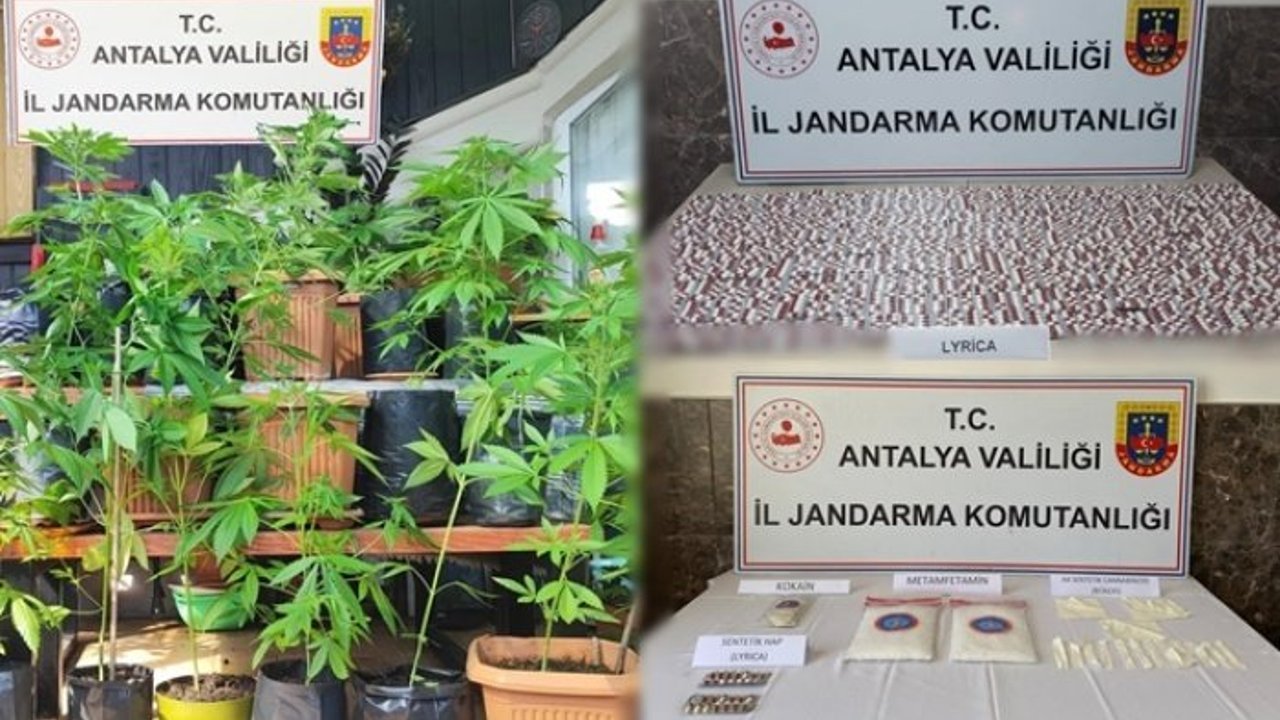 Alanya’da jandarma uyuşturucu satıcılarına göz açtırmıyor