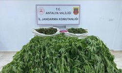 Serik’te uyuşturucu operasyonu