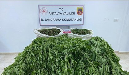 Serik’te uyuşturucu operasyonu