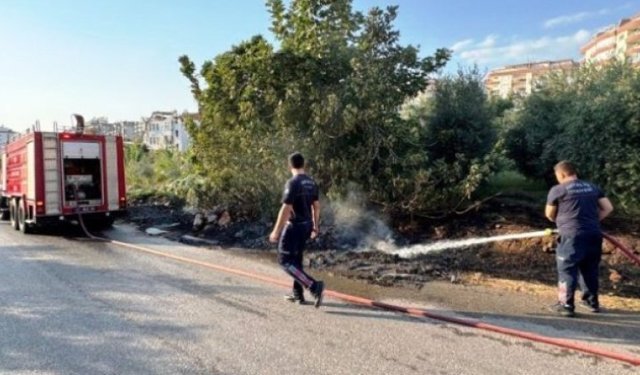 Alanya’da çalılık yangını korkuttu!