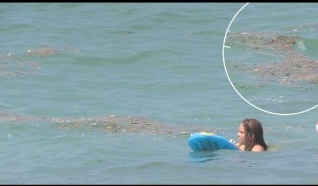 ASAT, Alanya sahilleri temiz dedi!