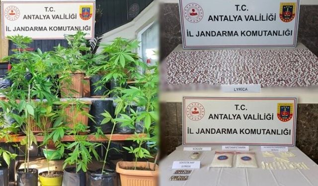 Alanya’da jandarma uyuşturucu satıcılarına göz açtırmıyor