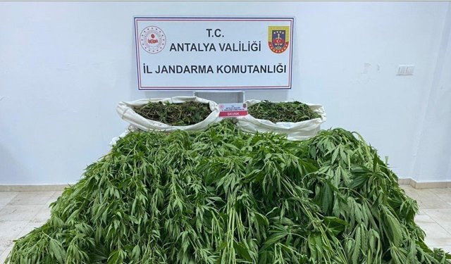 Serik’te uyuşturucu operasyonu