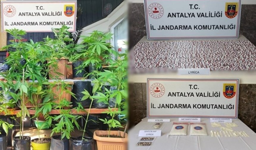 Alanya’da jandarma uyuşturucu satıcılarına göz açtırmıyor